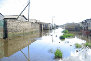 Reflections about the role played by regulators in ensuring water safety