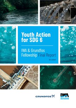 Youth Action for SDG 6 – The IWA & Grundfos Fellowship Final Report