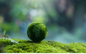 Should the water sector worry about generative AI’s environmental footprint?