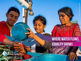 Women Don't Just Carry the Water — they can manage, address, and reconceive the water crisis effectively, and make a difference for water quality 