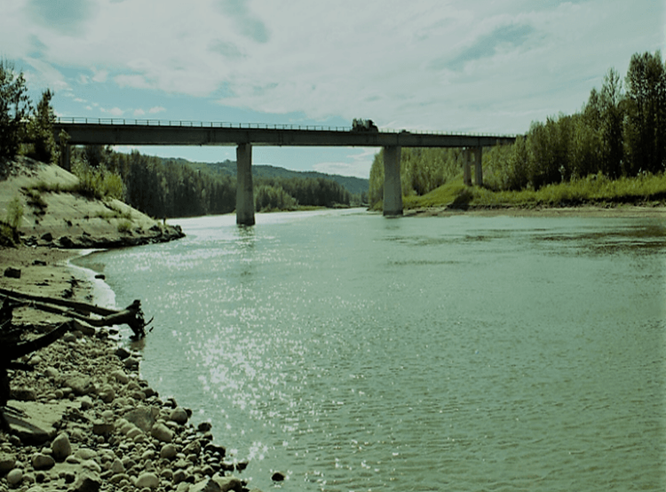 Programme Detail Getting from back end