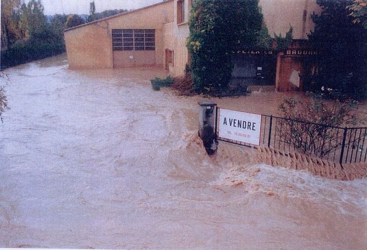 Programme Detail Getting from back end