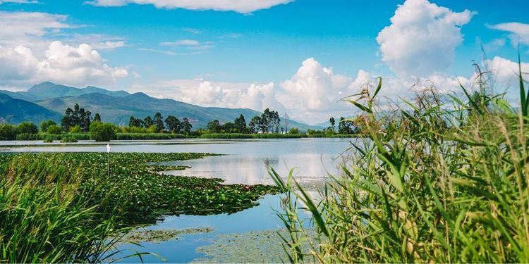 Programme Detail Getting from back end