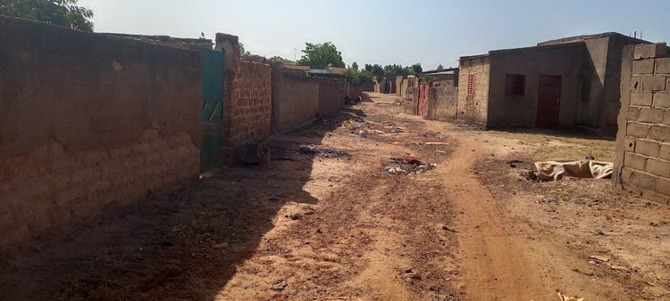 Programme Detail Getting from back end